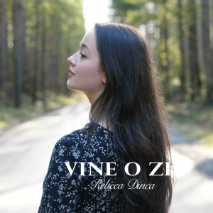 The Dinca Family - Vine O Zi (2024)