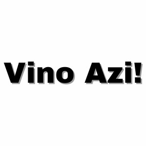 Mihaela Smalbergher - Vino Azi! (2024)