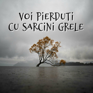 Muzica Crestina Noua - Voi Pierduti Cu Sarcini Grele (2024)