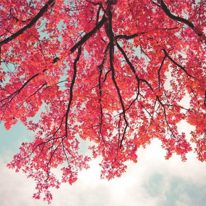 Jurrivh - With You (2019)